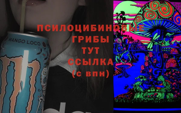 синтетический гашиш Алексин