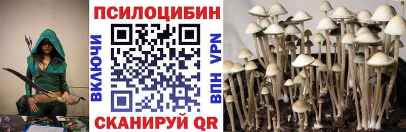 Галлюциногенные грибы ЛСД  Пошехонье 